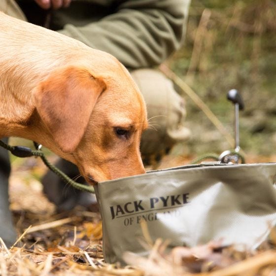 Taça de Cão Dobrável Jack Pyke - Verde