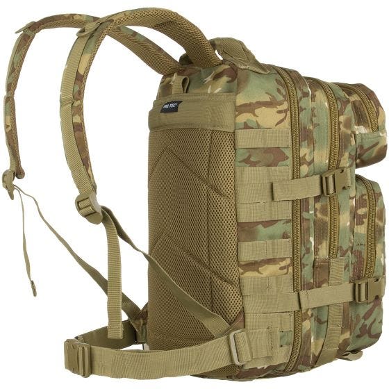 Mochila de Assalto Pequena Mil-Tec MOLLE US - Arid Woodland